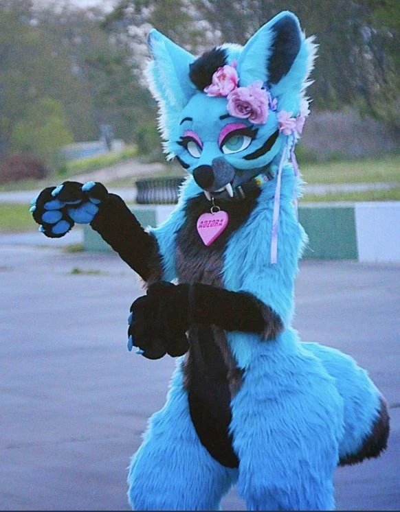 Daily Furry Stuff 49 (Oh I guess it's fursuit friday)
