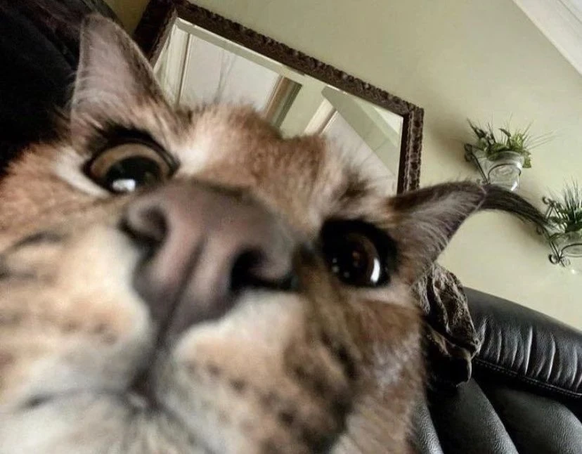 aaaaa