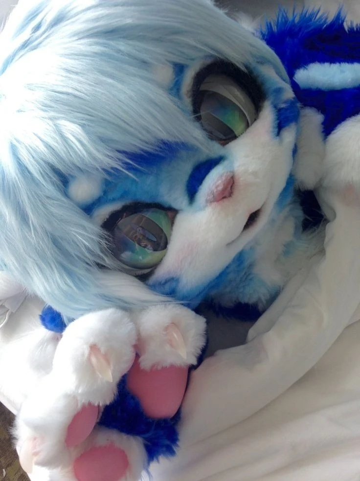 Daily Furry Stuff 49 (Oh I guess it's fursuit friday)