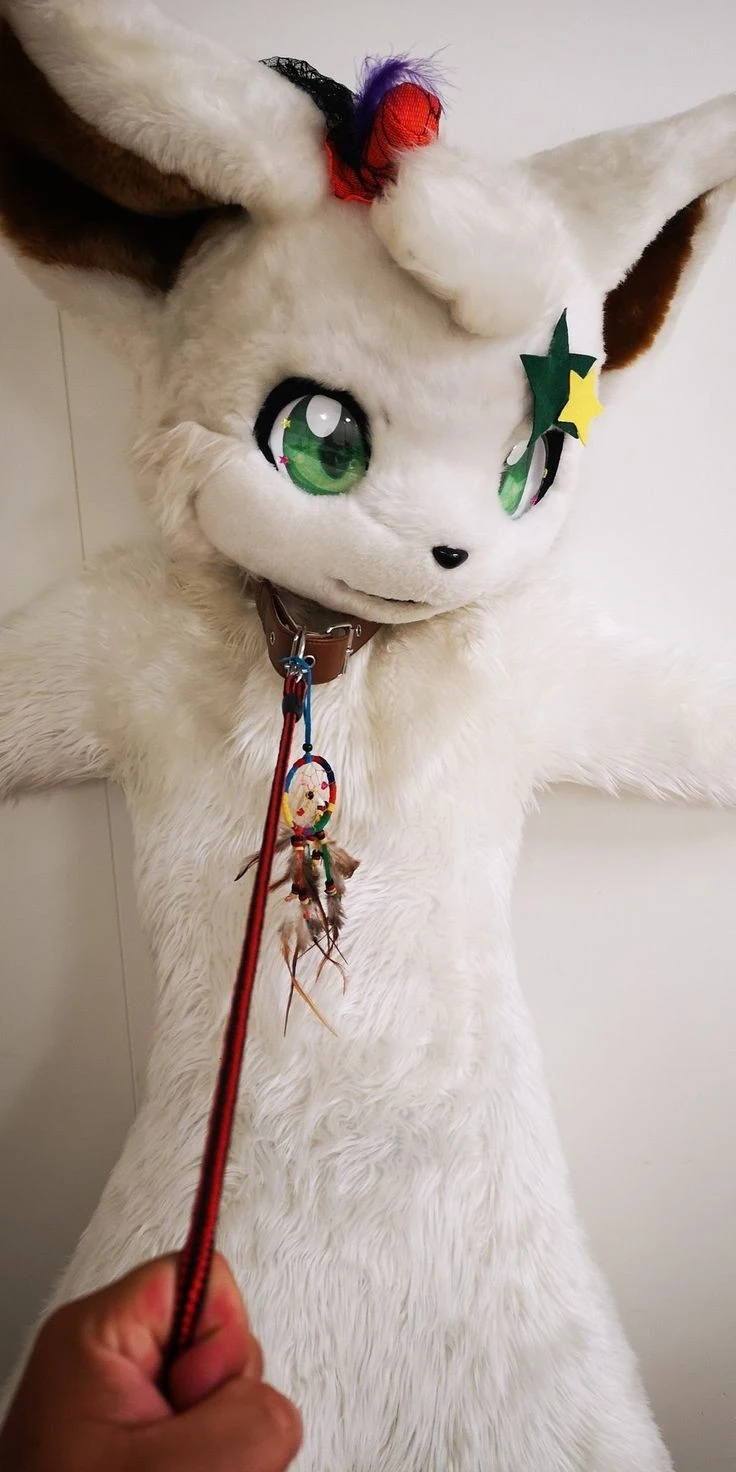 Daily Furry Stuff 49 (Oh I guess it's fursuit friday)