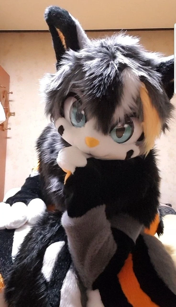 Daily Furry Stuff 49 (Oh I guess it's fursuit friday)