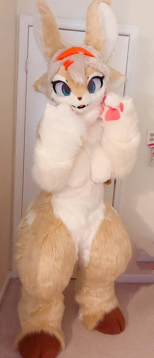 Daily Furry Stuff 49 (Oh I guess it's fursuit friday)