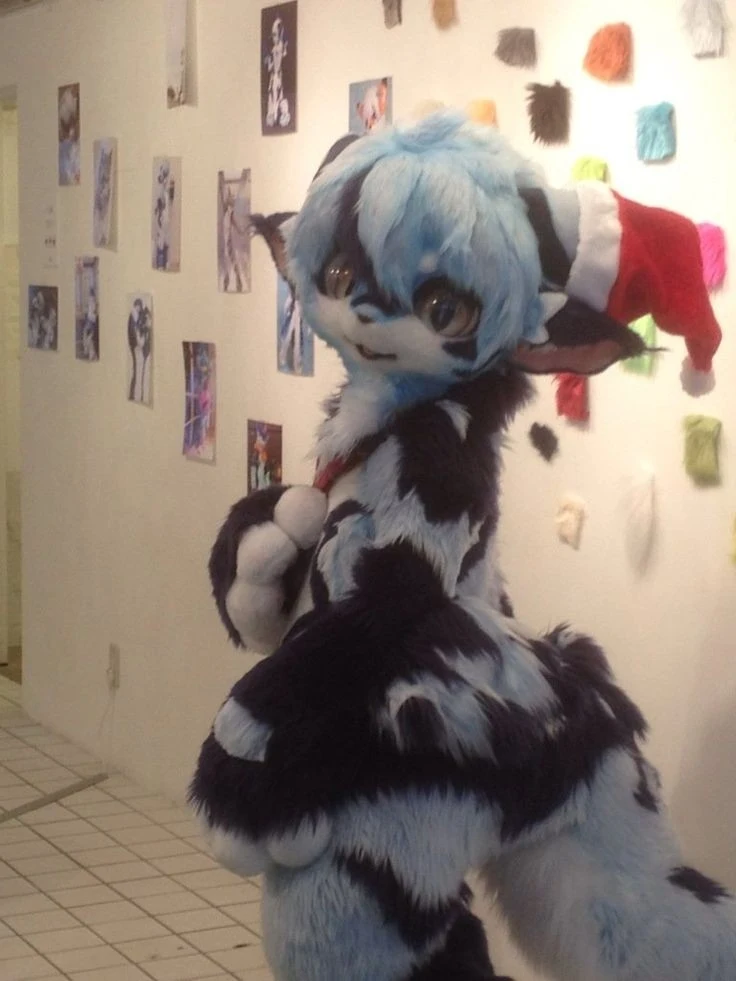 Daily Furry Stuff 49 (Oh I guess it's fursuit friday)