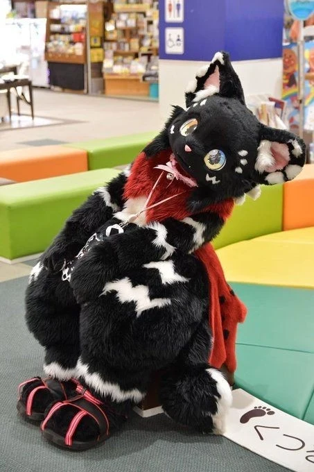 Daily Furry Stuff 49 (Oh I guess it's fursuit friday)