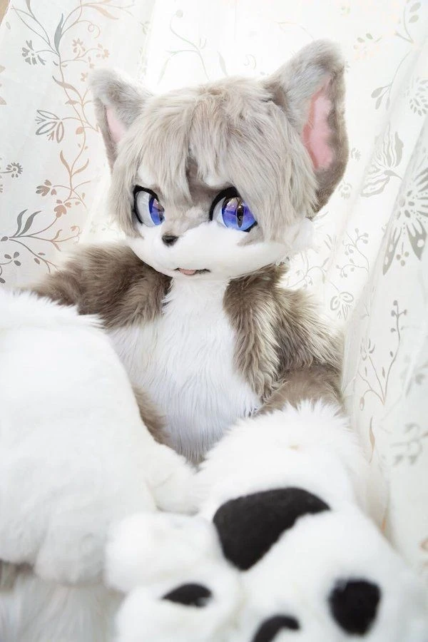 Daily Furry Stuff 49 (Oh I guess it's fursuit friday)