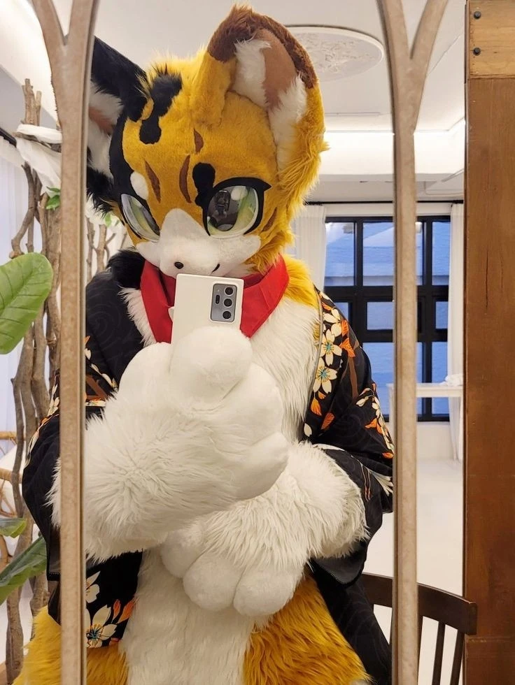 Daily Furry Stuff 49 (Oh I guess it's fursuit friday)