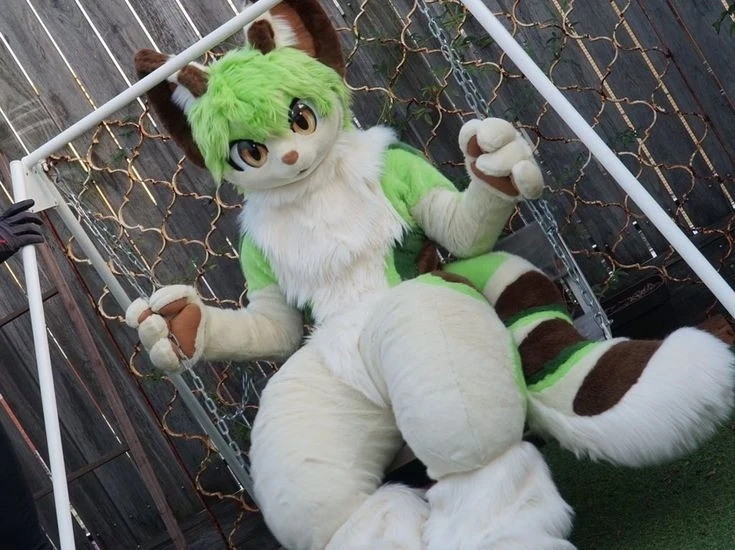 Daily Furry Stuff 49 (Oh I guess it's fursuit friday)