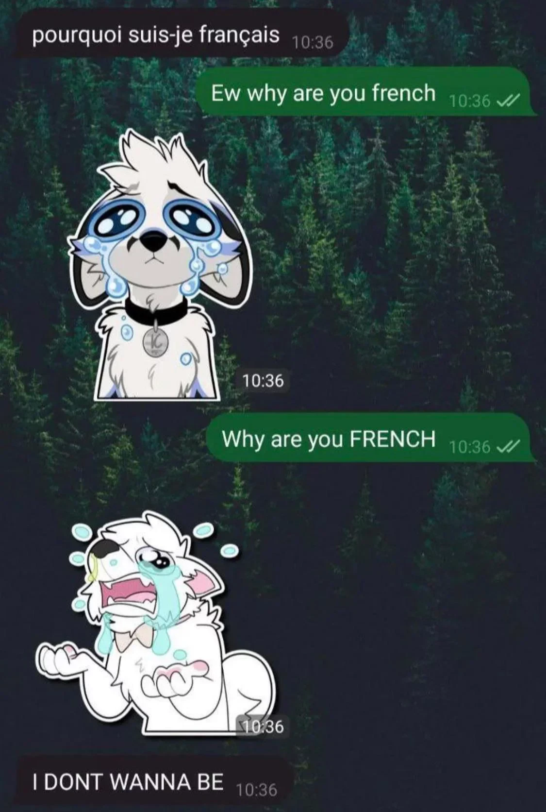 Daily Furry Art 69