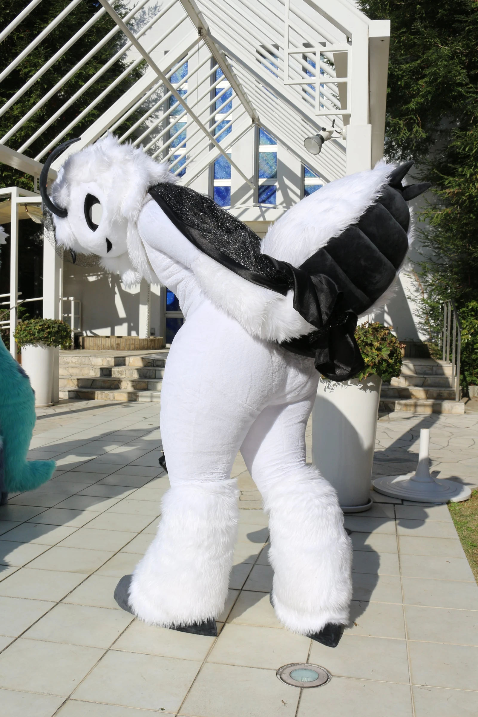 Daily Furry Art 230