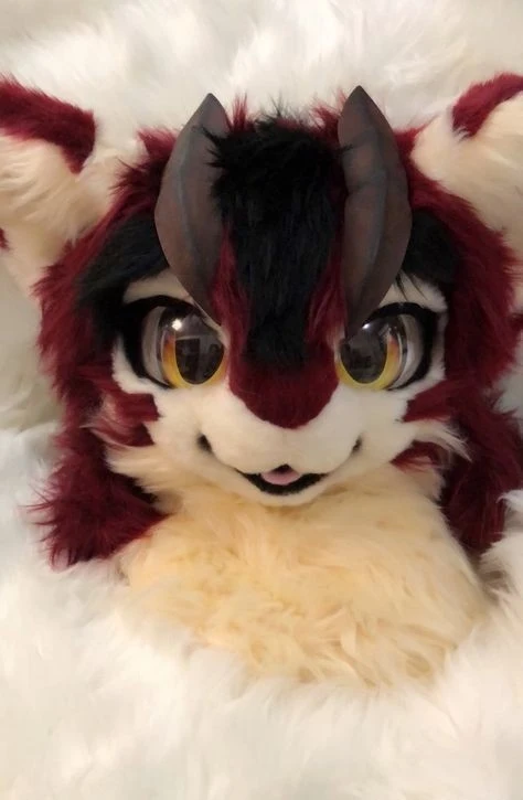Daily Furry Stuff 49 (Oh I guess it's fursuit friday)