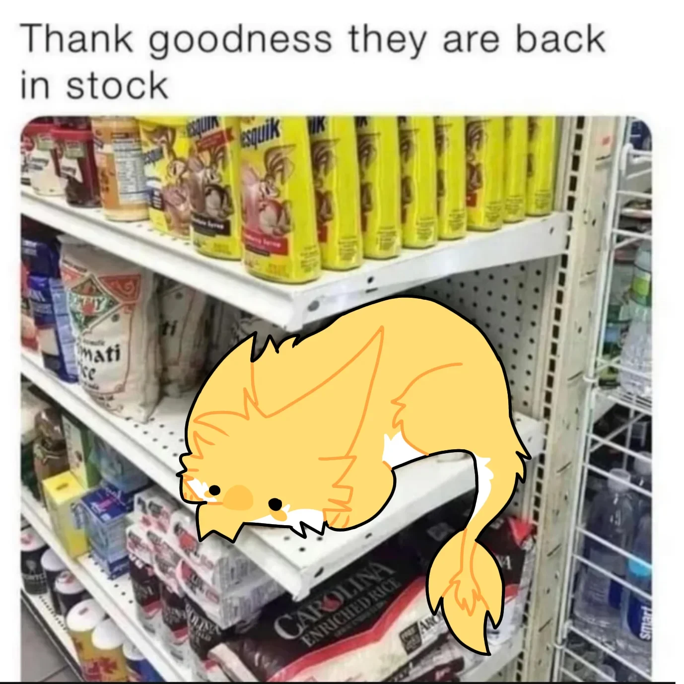 Daily Furry Art 197