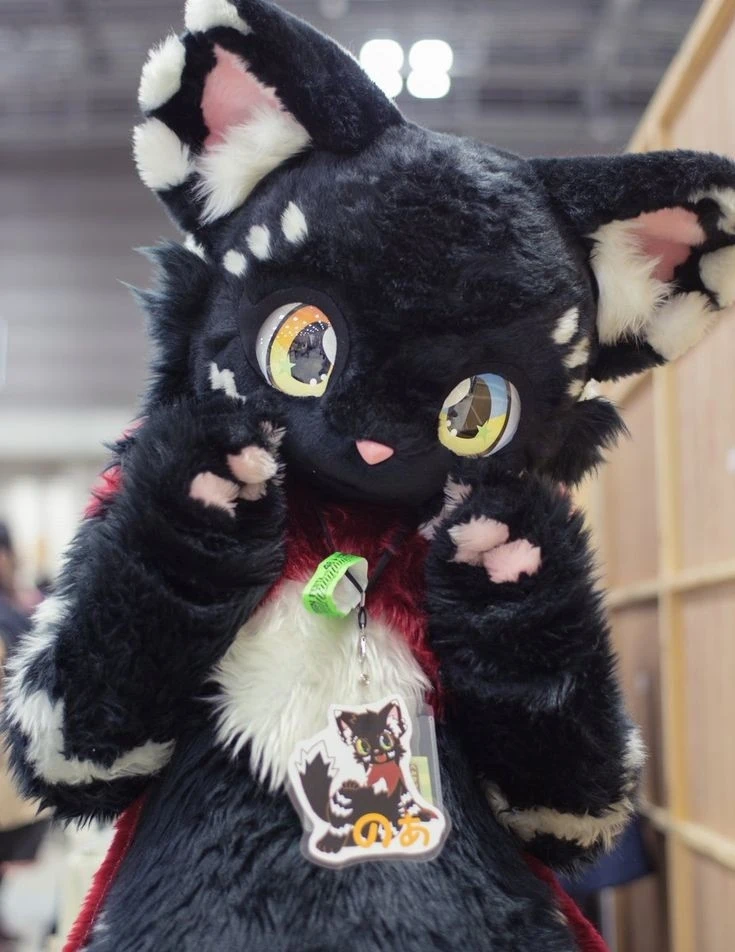 Daily Furry Stuff 49 (Oh I guess it's fursuit friday)