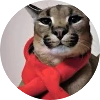 aaaaa