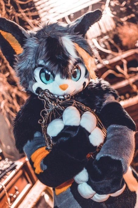 Daily Furry Stuff 49 (Oh I guess it's fursuit friday)