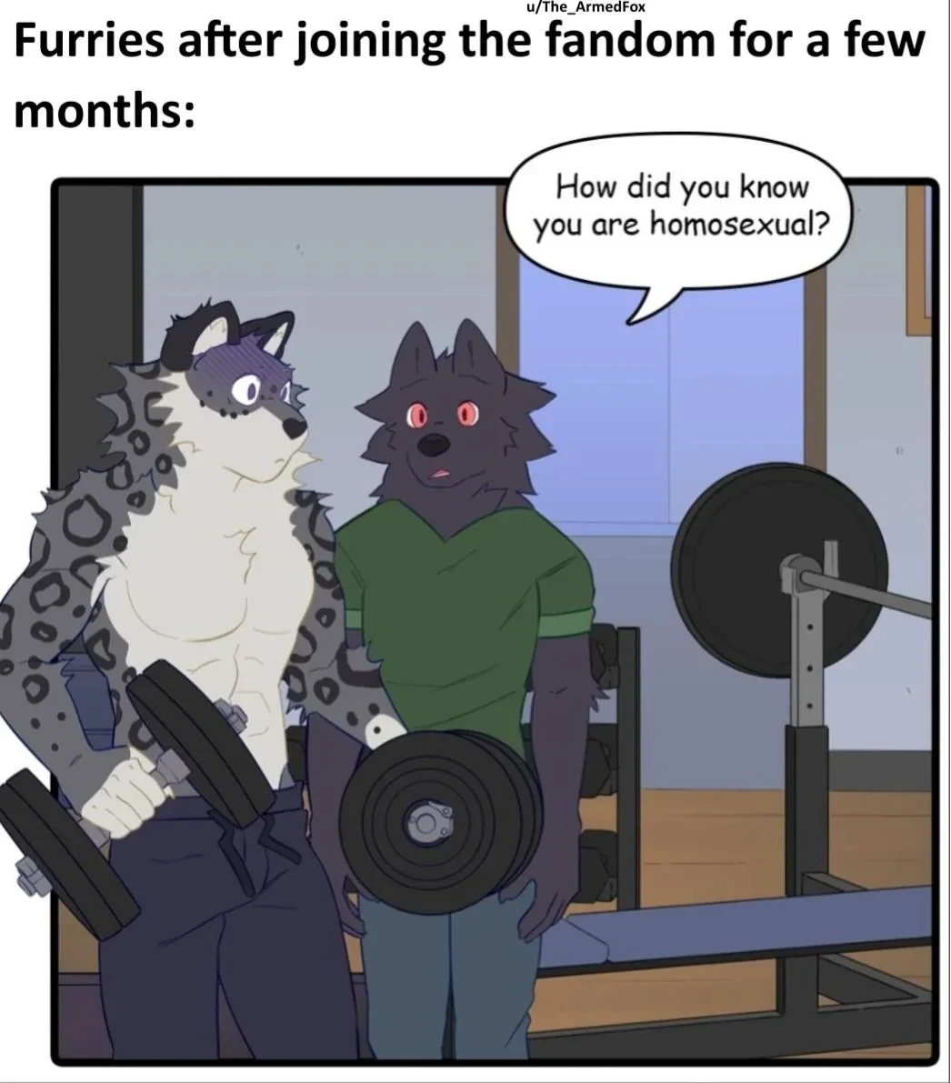 Weekly Furry Art 18