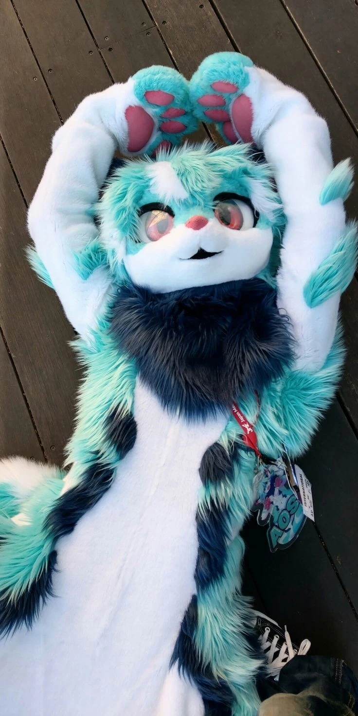 Daily Furry Stuff 49 (Oh I guess it's fursuit friday)