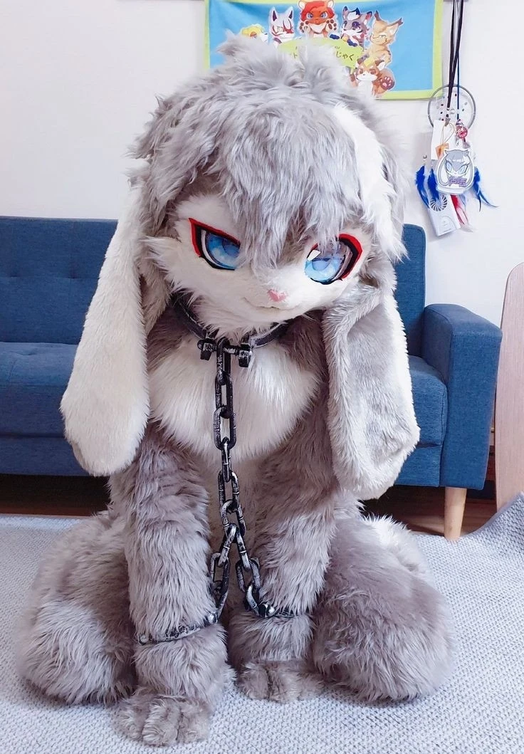 Daily Furry Stuff 49 (Oh I guess it's fursuit friday)