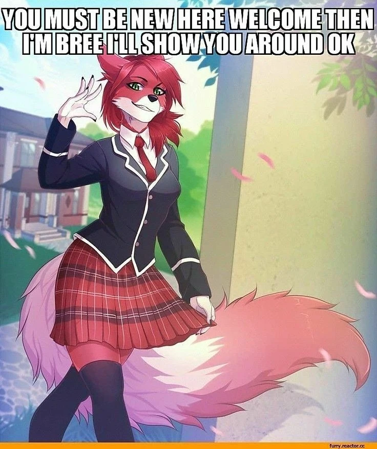 Daily Furry Art 9
