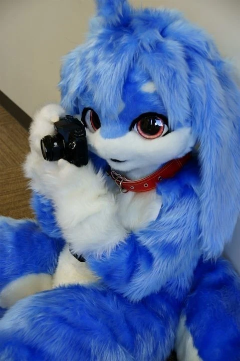 Daily Furry Stuff 49 (Oh I guess it's fursuit friday)