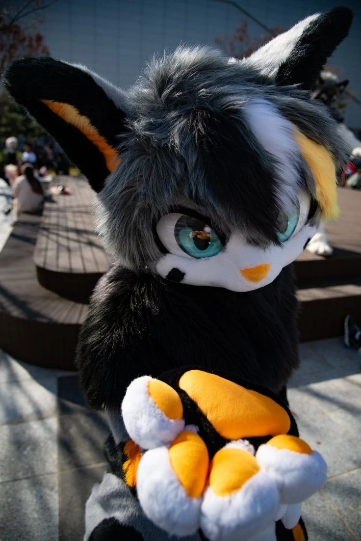 Daily Furry Stuff 49 (Oh I guess it's fursuit friday)