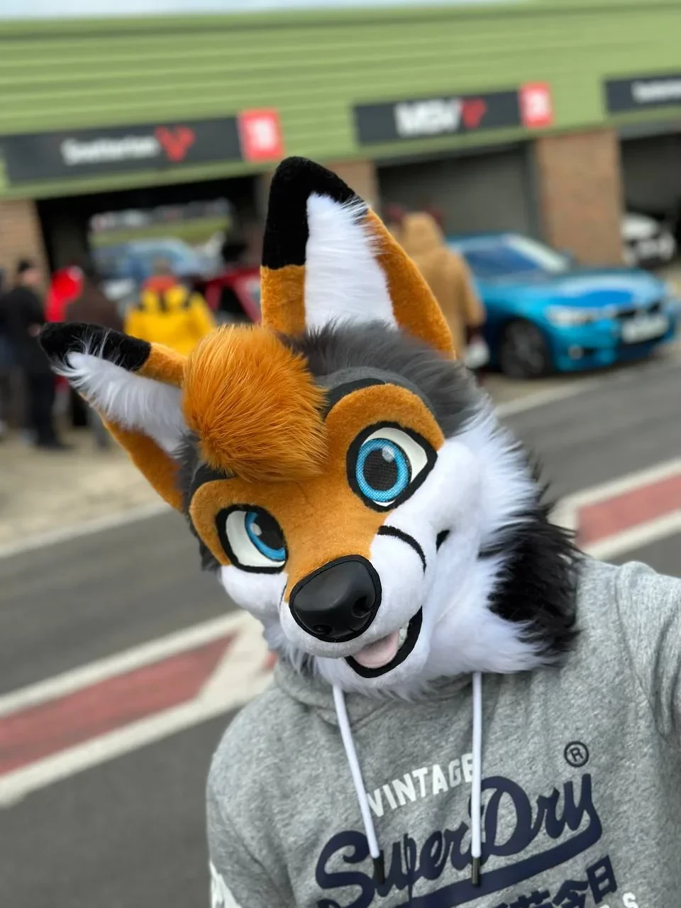 Daily Furry Art 239