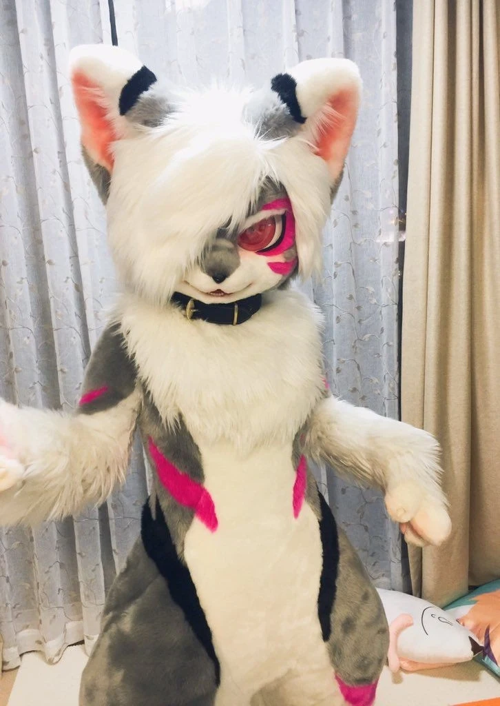 Daily Furry Stuff 49 (Oh I guess it's fursuit friday)