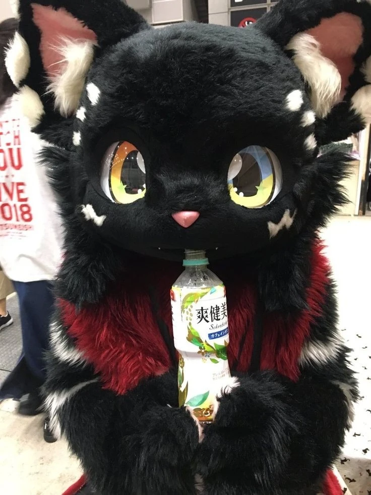 Daily Furry Stuff 49 (Oh I guess it's fursuit friday)