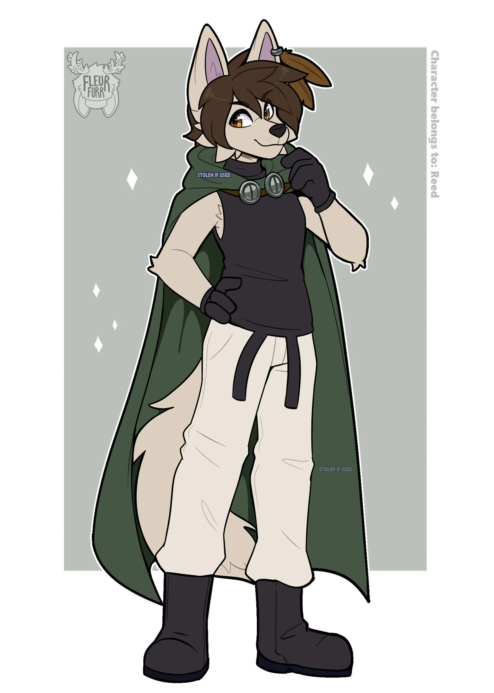 Daily Furry Art 77