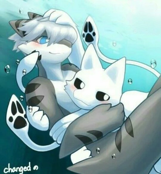 Daily Furry Art 11