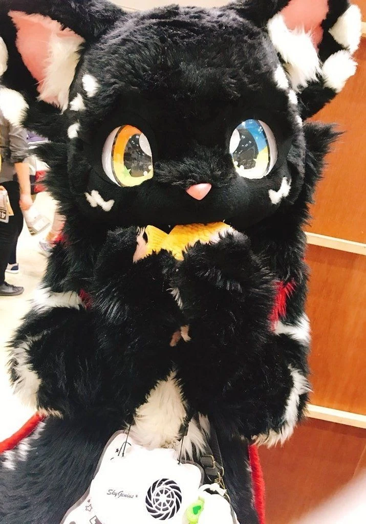 Daily Furry Stuff 49 (Oh I guess it's fursuit friday)
