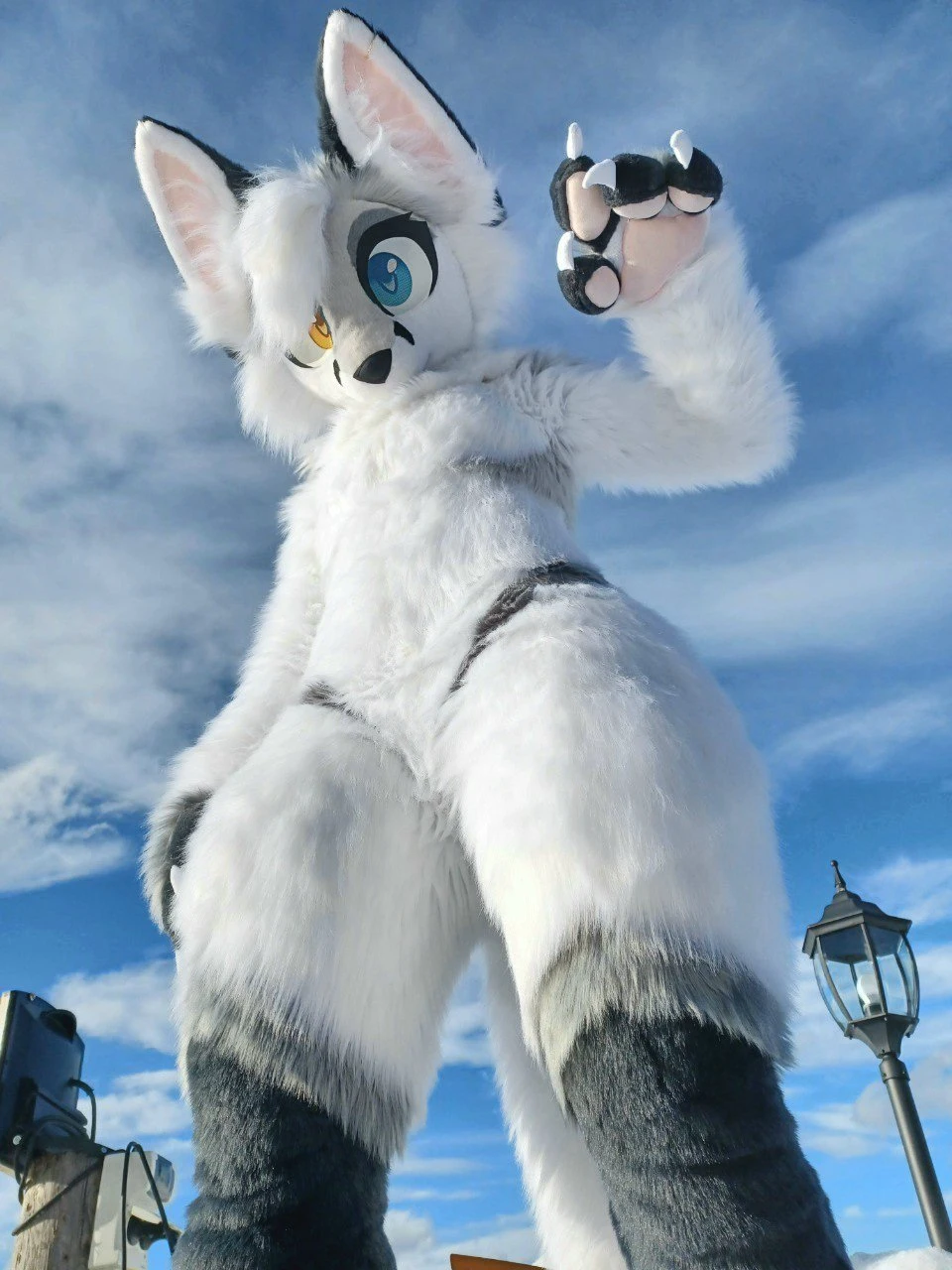 Daily Furry Art 95