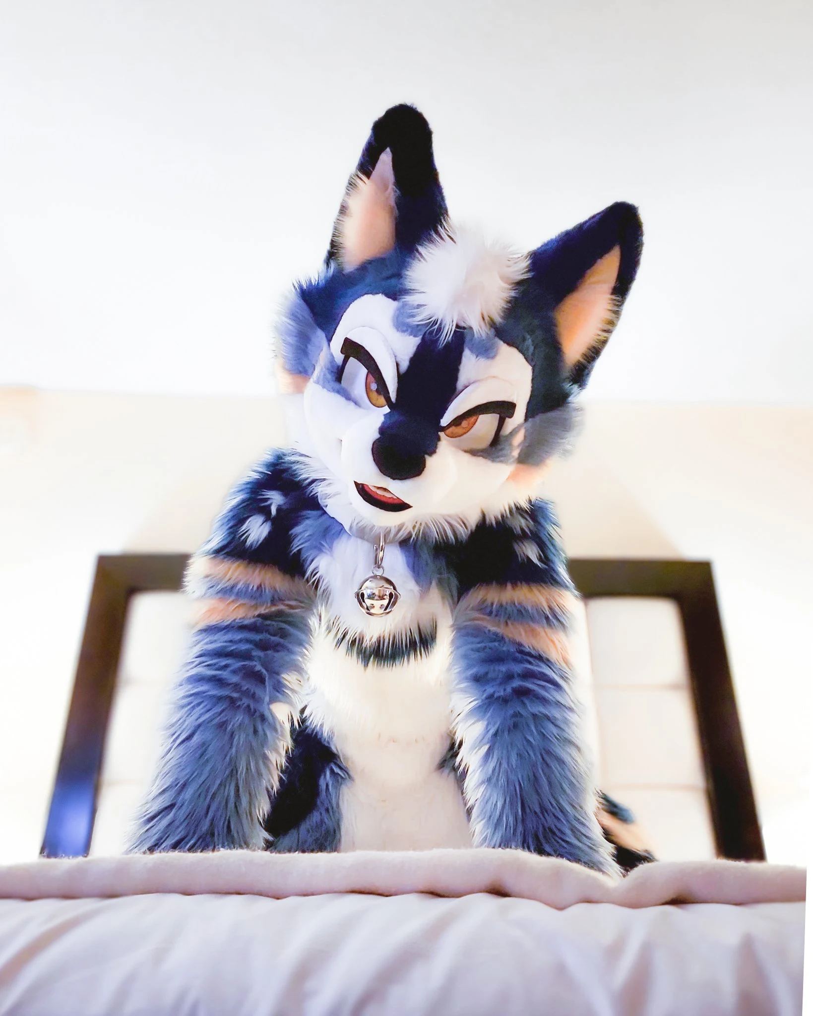 Weekly Furry Art 1