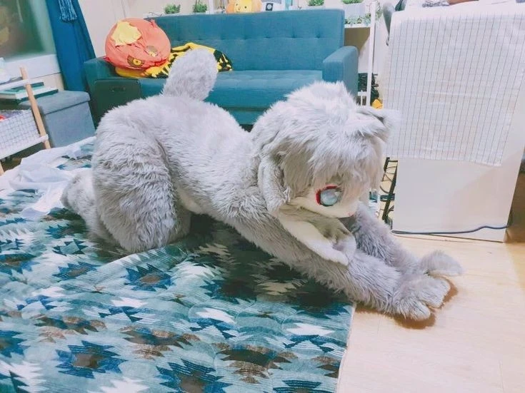Daily Furry Stuff 49 (Oh I guess it's fursuit friday)