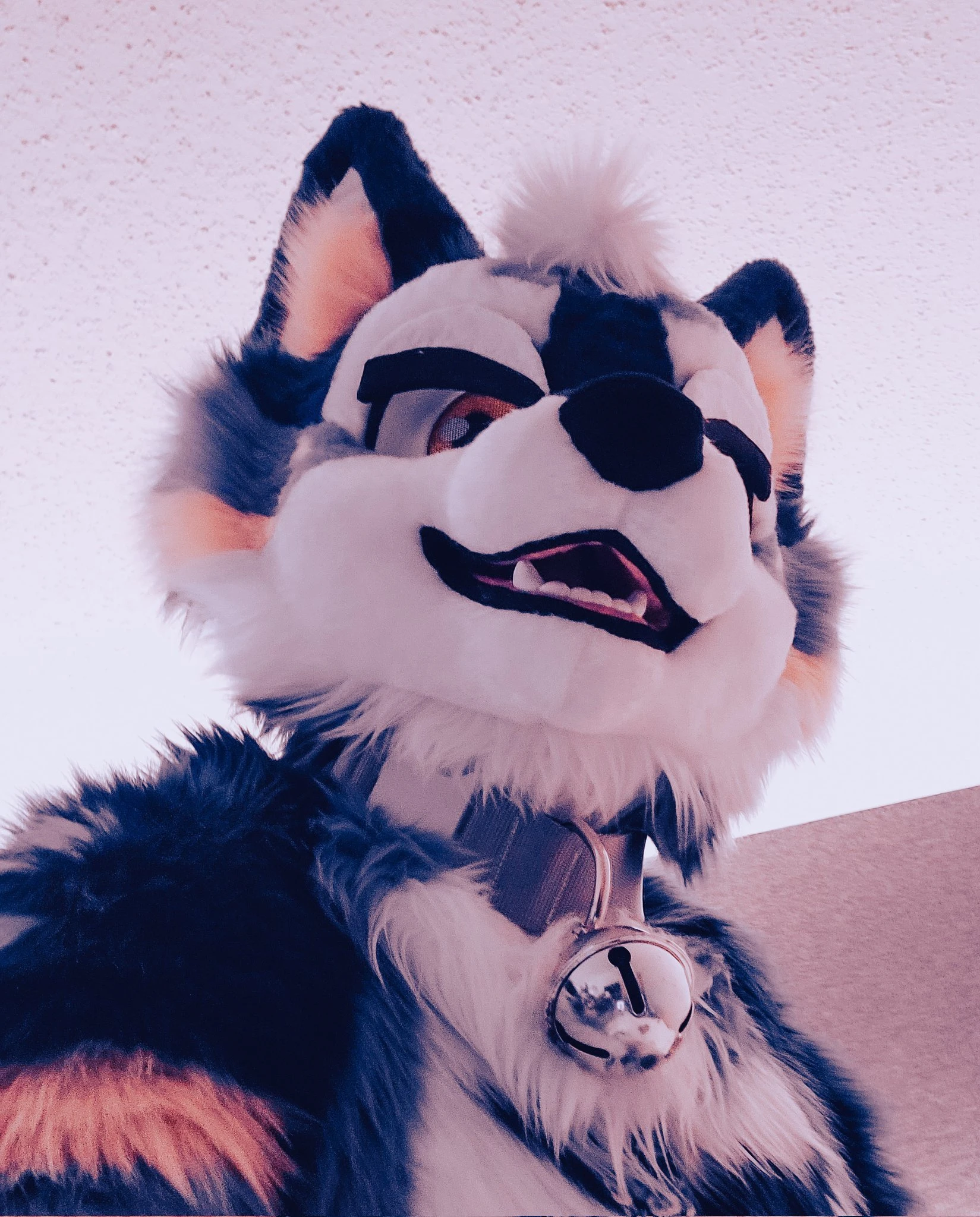 Daily Furry Art 100