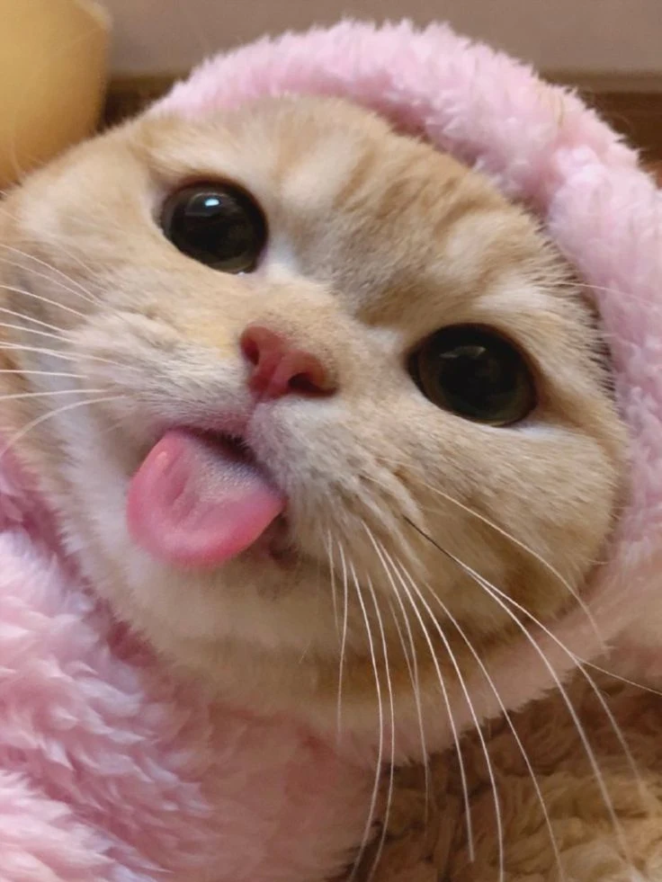 aaaaa