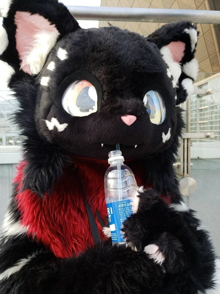 Daily Furry Stuff 49 (Oh I guess it's fursuit friday)