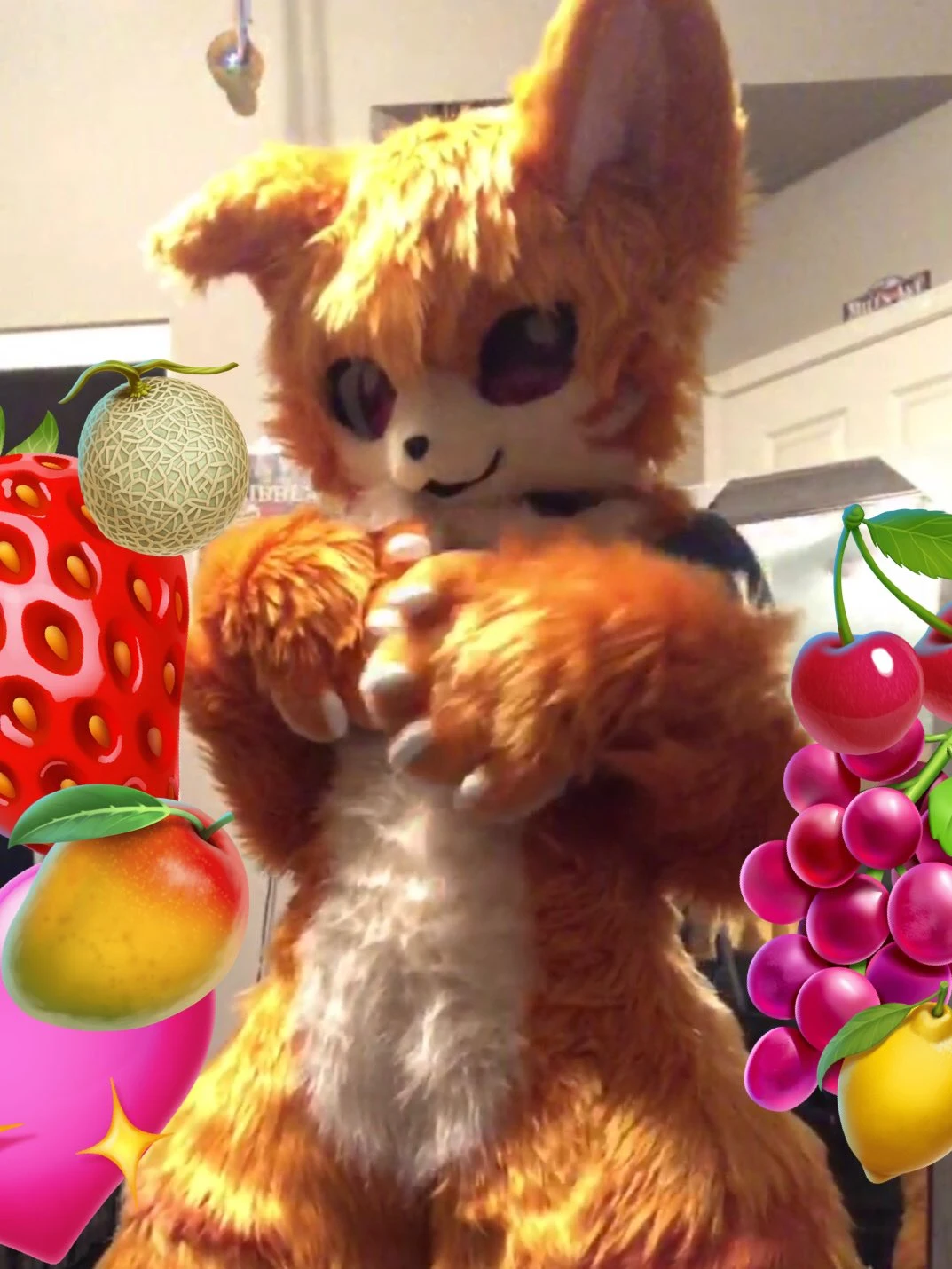 Daily Furry Art 333
