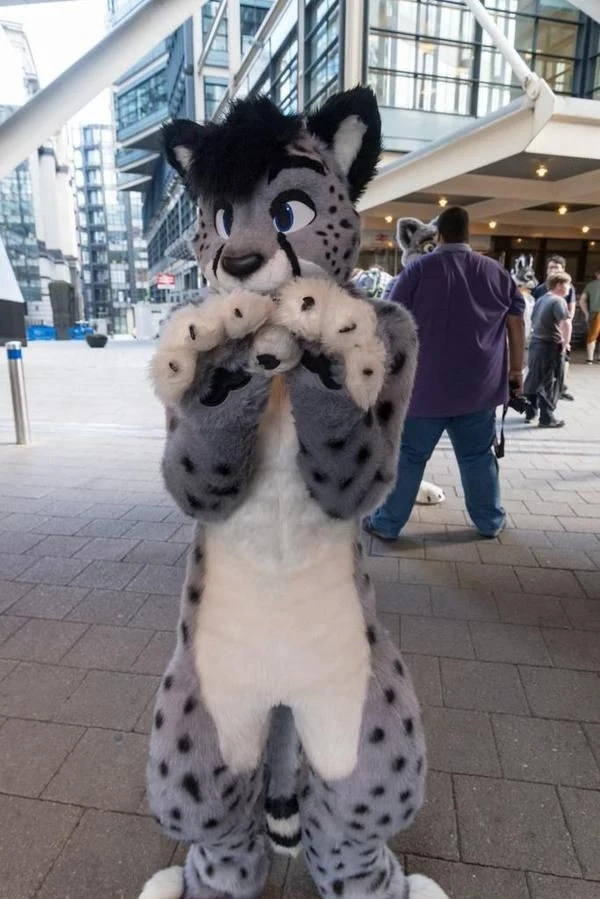 Daily Furry Stuff 49 (Oh I guess it's fursuit friday)